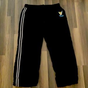 Disney tinker bell lined windbreaker type pants